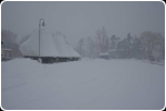 Snow covered boats in Cranberry Marina. Collingwood, Ontario. Feb 2012